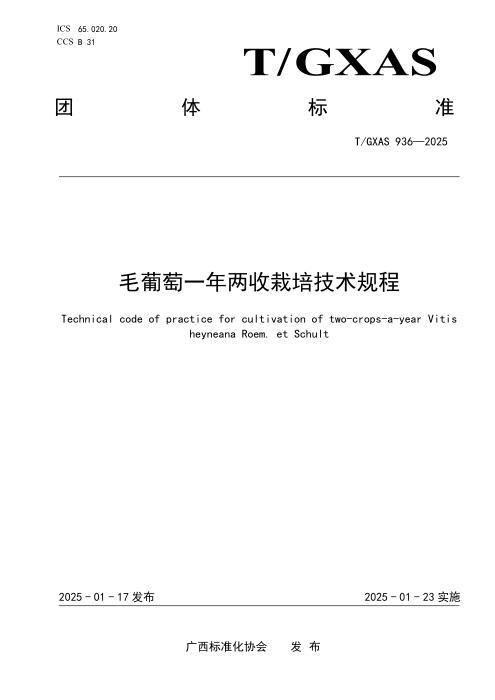 T/GXAS 936-2025 毛葡萄一年两收栽培技术规程