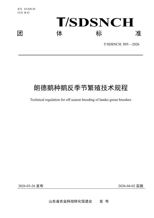 T/SDSNCH 095-2026 朗德鹅种鹅反季节繁殖技术规程