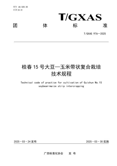 T/GXAS 976-2025 桂春15号大豆—玉米带状复合栽培技术规程
