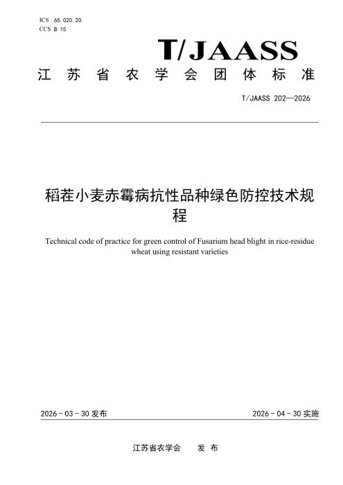 T/JAASS 202-2026 稻茬小麦赤霉病抗性品种绿色防控技术规程