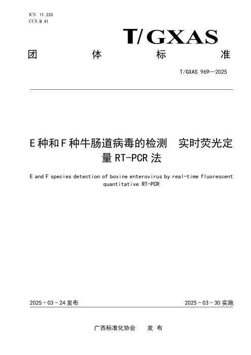 T/GXAS 969-2025 E种和F种牛肠道病毒的检测 实时荧光定量RT-PCR法