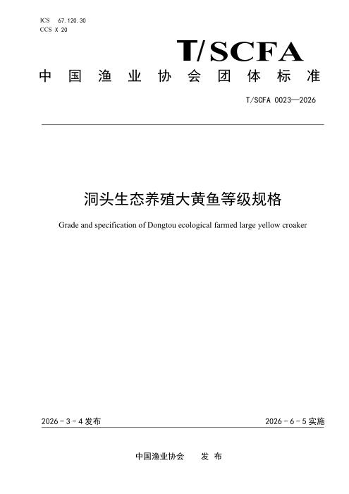 T/SCFA 0023-2026 洞头生态养殖大黄鱼等级规格
