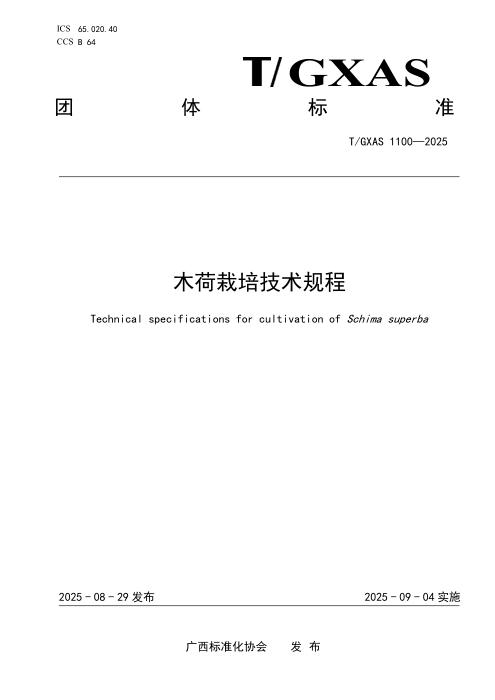 T/GXAS 1100-2025 木荷栽培技术规程