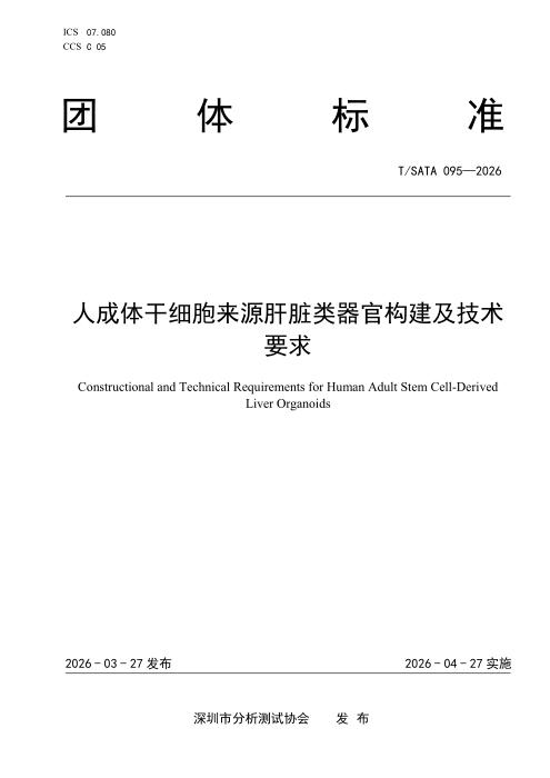 T/SATA 095-2026 人成体干细胞来源肝脏类器官构建及技术要求