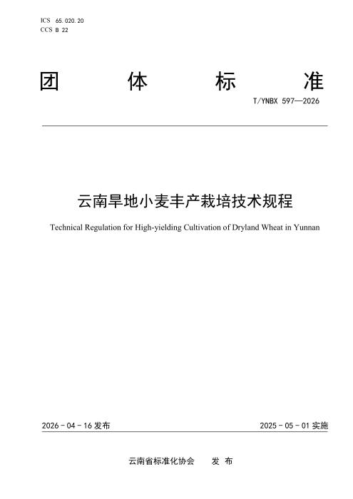 T/YNBX 597-2026 云南旱地小麦丰产栽培技术规程