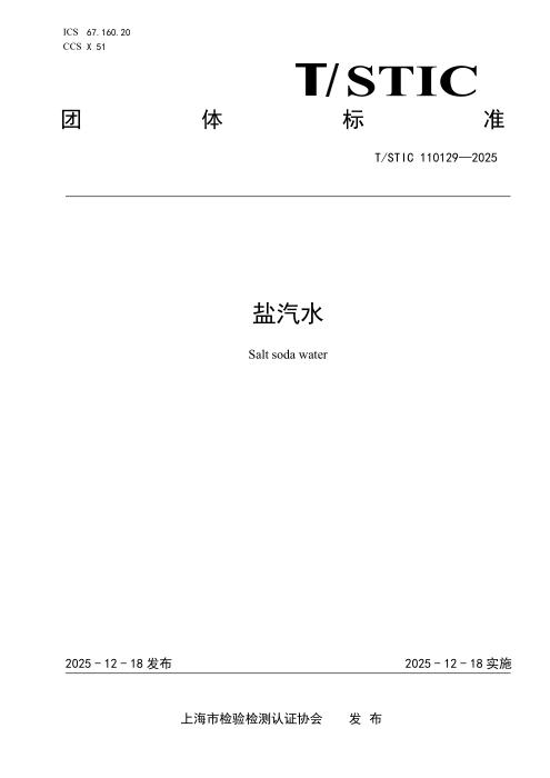 T/STIC 110129-2025 盐汽水