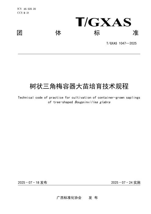 T/GXAS 1047-2025 树状三角梅容器大苗培育技术规程