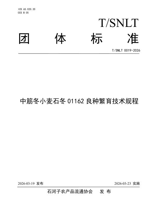 T/SNLT 0019-2026 中筋冬小麦石冬01162良种繁育技术规程
