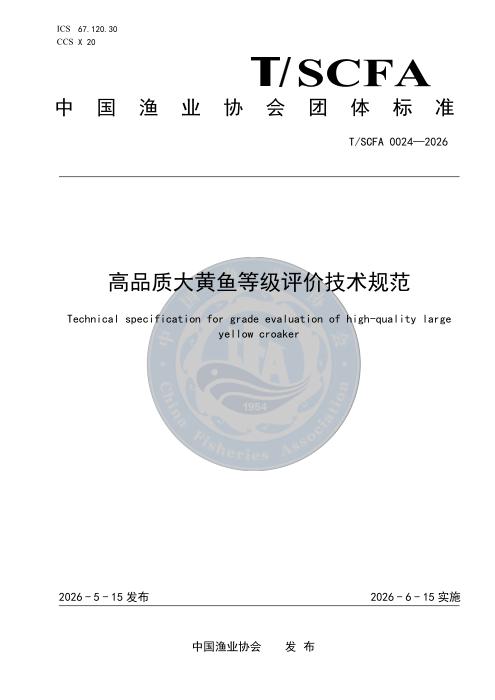 T/SCFA 0024-2026 高品质大黄鱼等级评价技术规范