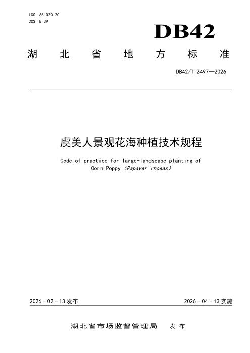 DB42/T 2497-2026 虞美人景观花海种植技术规程