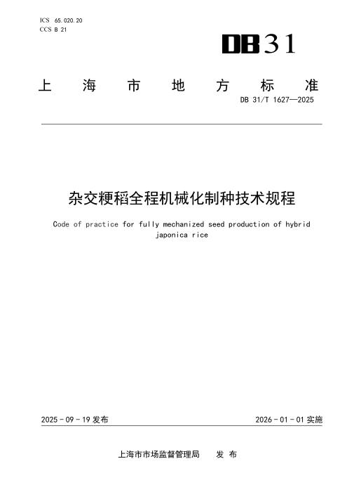 DB31/T 1627-2025 杂交粳稻全程机械化制种技术规程