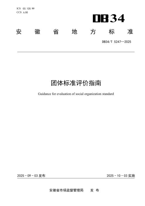 DB34/T 5247-2025 团体标准评价指南