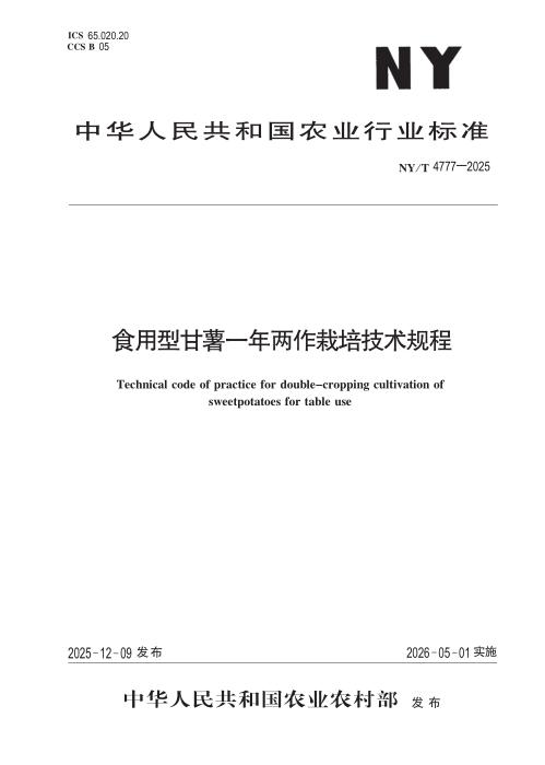 NY/T 4777-2025 食用型甘薯一年两作栽培技术规程