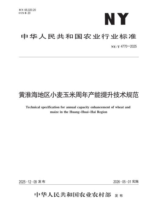 NY/T 4770-2025 黄淮海地区小麦玉米周年产能提升技术规范