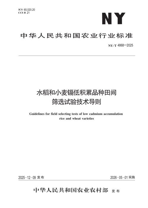 NY/T 4868-2025 水稻和小麦镉低积累品种田间筛选试验技术导则