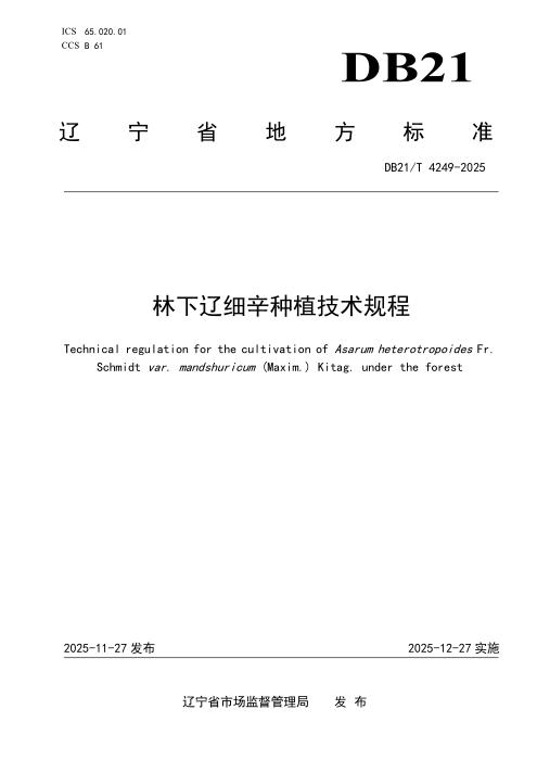 DB21/T 4249-2025 林下辽细辛种植技术规程