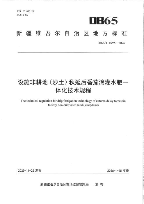 DB65/T 4996-2025 设施非耕地(沙土)秋延后番茄滴灌水肥一体化技术规程