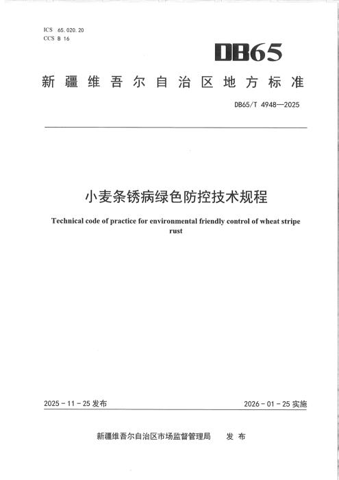 DB65/T 4948-2025 小麦条锈病绿色防控技术规程