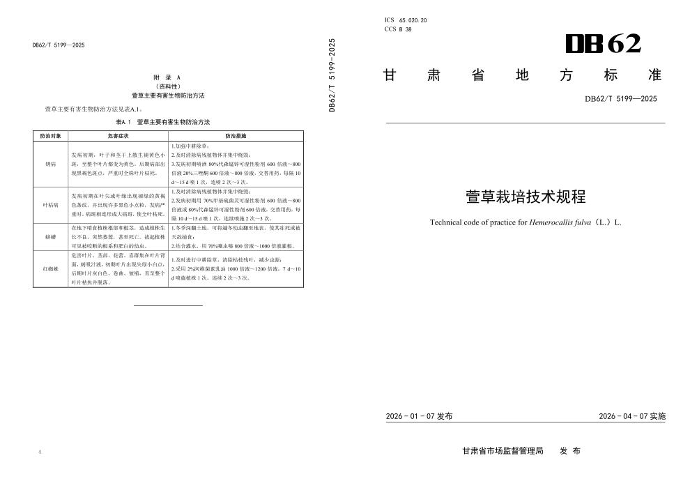 DB62/T 5199-2025 萱草栽培技术规程