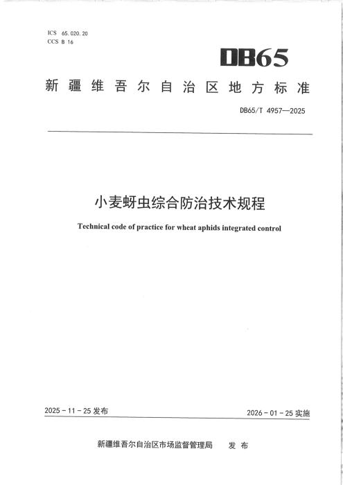 DB65/T 4957-2025 小麦蚜虫综合防治技术规程
