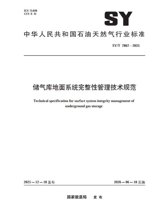 SY/T 7867-2025 储气库地面系统完整性管理技术规范