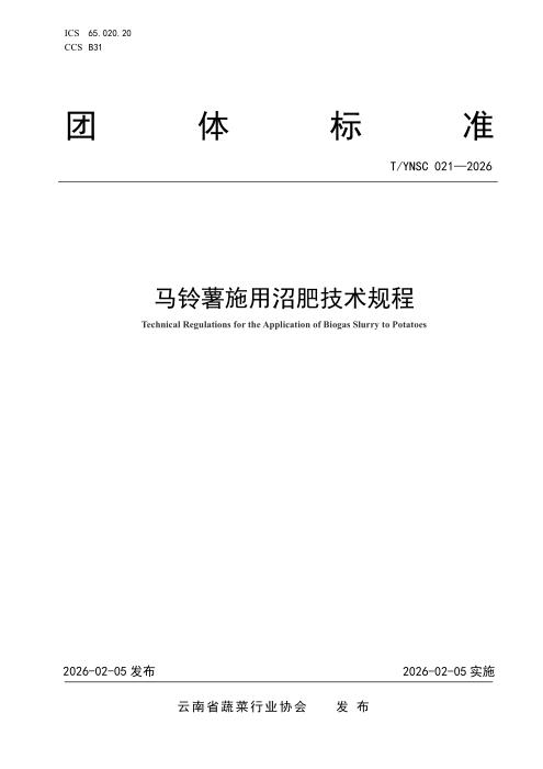 T/YNSC 021-2026 马铃薯施用沼肥技术规程