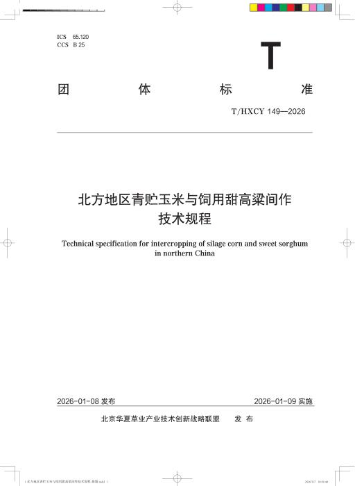 T/HXCY 149-2026 北方地区青贮玉米与饲用甜高粱间作技术规程