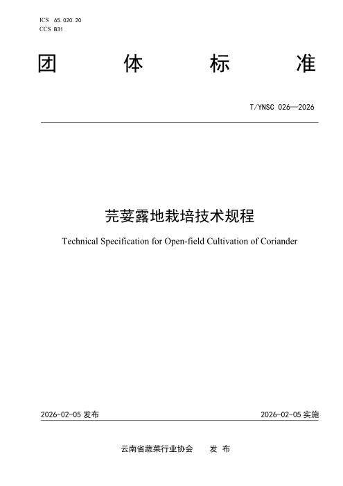 T/YNSC 026-2026 芫荽露地栽培技术规程