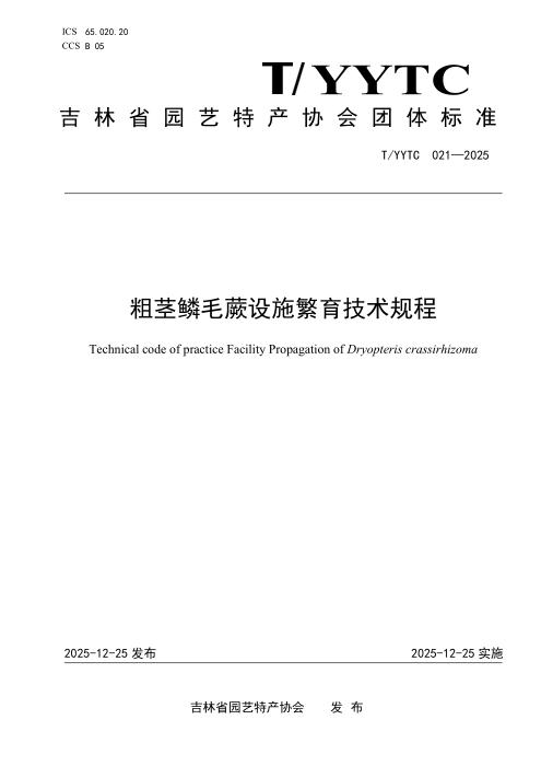T/YYTC 021-2025 粗茎鳞毛蕨设施繁育技术规程
