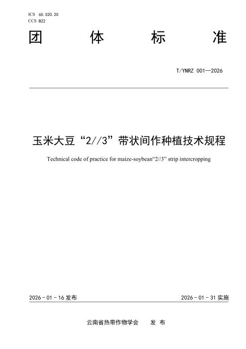 T/YNRZ 001-2026 玉米大豆“2 3”带状间作种植技术规程