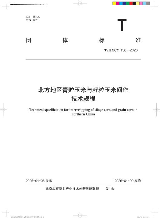 T/HXCY 150-2026 北方地区青贮玉米与籽粒玉米间作技术规程