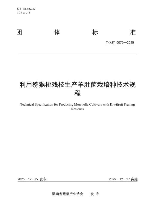 T/XJY 0075-2025 利用猕猴桃残枝生产羊肚菌栽培种技术规程