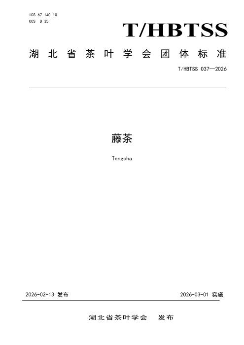 T/HBTSS 037-2026 藤茶