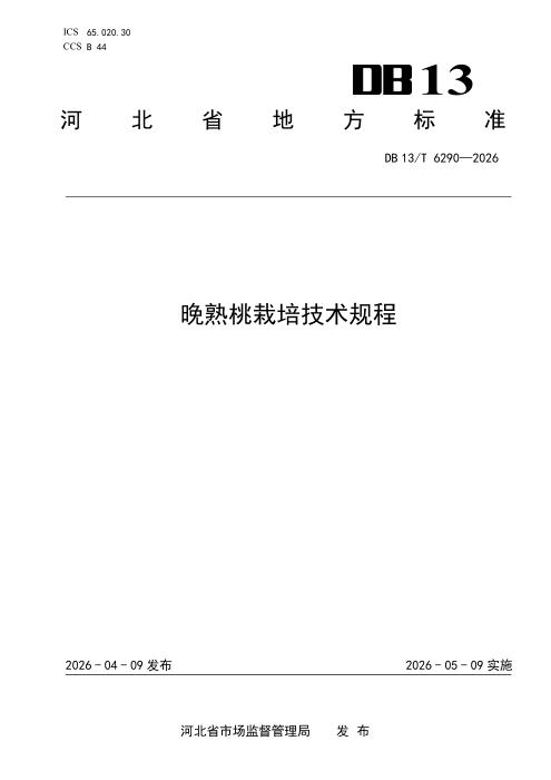 DB13/T 6290-2026 晚熟桃栽培技术规程