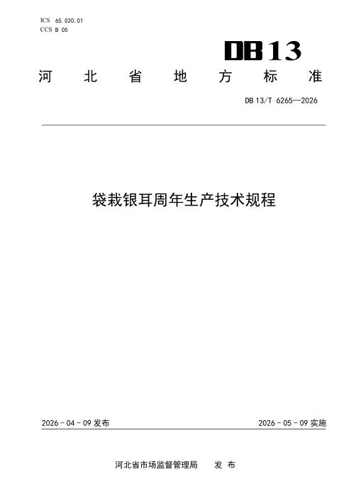 DB13/T 6265-2026 袋栽银耳周年生产技术规程
