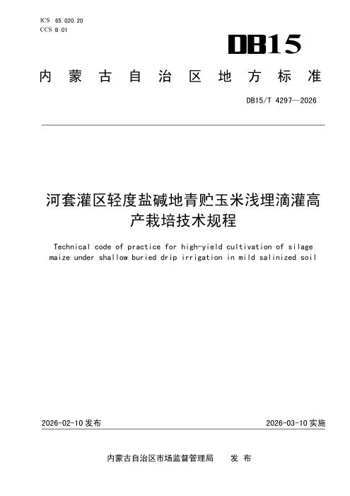 DB15/T 4297-2026 河套灌区轻度盐碱地青贮玉米浅埋滴灌高产栽培技术规程